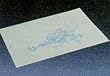 Banta Tidi Tidi Bath Mat White/Blue Soft Shell Print 14 1/2X20" Disposable - Case of 500