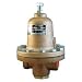 Cash Valve 17117-0300 Bronze Pressure Regulator, 40 - 500 PSI Pressure Range, 3/4" NPT Female