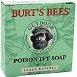 Burt's Bees Poison Ivy Soap, 2-Ounce