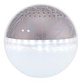 �}�W�b�N�{�[���A���x�X�N QS-1A5 [�J�[�L]