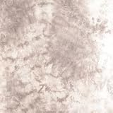 Lastolite LL LB7841 10 x 24 Feet Washable Muslin Background (Dakota)
