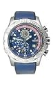 Festina - F161834