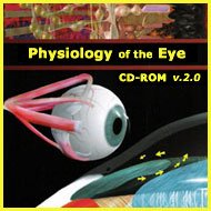 Physiology of the Eye