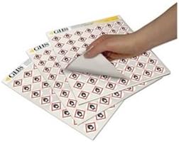 Label, Full Body Suit, Gloss Paper