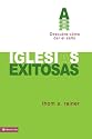 Iglesias Exitosas: Descubre cómo dar el salto (Spanish Edition)