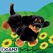 Katie & Ethan's Webkinz