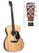 BLUERIDGE 000 GUITAR