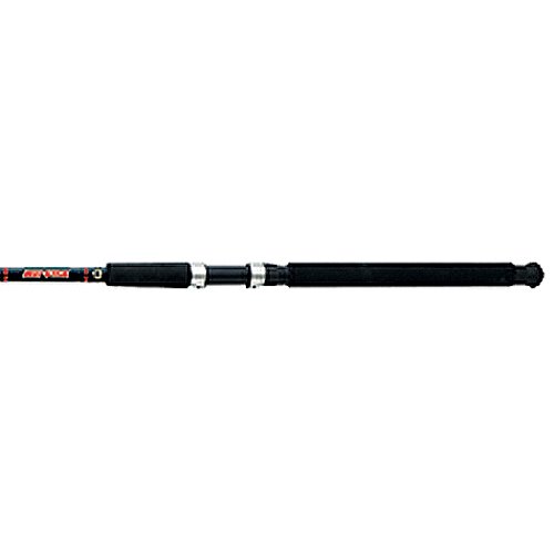 Daiwa Beefstick SF 9'0