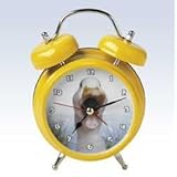 Duck Clock