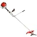 Efco DS 3600-4T 35.8 cc 4-Stroke Petrol Brush Cutter