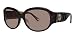 COACH BREE S474A (215) Tortoise/Brown Gradient Sunglasses, 59-16-130