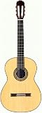 Takamine H8SS Hirade Concert Classic Acoustic Guitar with Case with Case