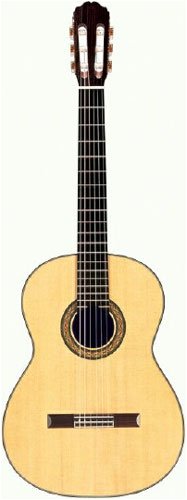 Takamine H8SS Hirade Concert Classic Acoustic Guitar with Case with Case