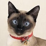 Pet Supplies : Zanies Jingle Bell Collars GREEN for CATS - 12in