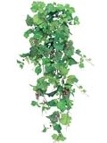 48 inch Grape Bush w/235 Lvs. & 64 Grapes