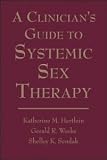 A Clinician's Guide to Systemic Sex Therapy