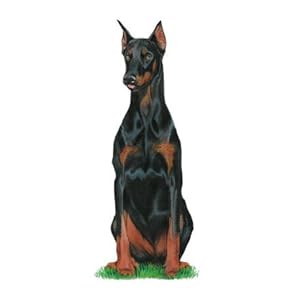 Doberman Pinscher Giclee Poster Print by Susan Gardos, 20x24