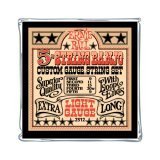 Ernie Ball 2312 Light Gauge 5 - String Banjo Strings - B0002DUQ2W
