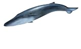 Review Schleich 14552 / Schleich Blue Whale