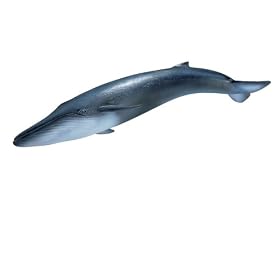Schleich Blue Whale