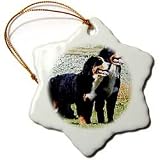 Dogs Bernese Mountain Dog - Bernese Mountain Dog - Ornaments