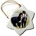 Dogs Bernese Mountain Dog - Bernese Mountain Dog - Ornaments
