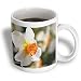Bright Daffodil Flower - White Flowers - Spring Photography - 15oz Mug