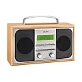 Bush DAB Radio