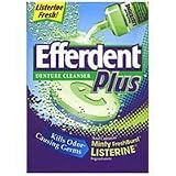 EFFERDENT PLUS MINT CLEANSER