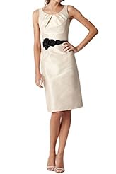 Cocktail Sheath Jeweled Lace Taffeta Prom Dress 