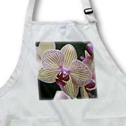 ORCHID - QQ - Medium Length Apron With Pouch Pockets 22w X 24l