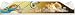 Keys in the Conch Shell - Beach Pole Caddy