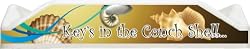 Keys in the Conch Shell - Beach Pole Caddy