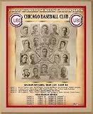 Chicago Cubs 1908 World Series 20 x 24 Framed Print from Healy Pro