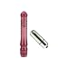 California Exotics / Swedish Erotica Waterproof Turbo Glider Raspberry Vibrator Adult Sex Toy Kit