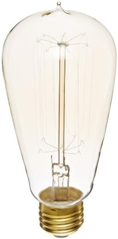 Heirlume HL-13100WPack1 Vintage Edison Bulb 100-watt with Medium Base, 2.5-Inch x 5.5-Inch, 1-Pack