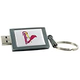 Centon DataStick Keychain MLB St. Louis Cardinals Edition - USB flash drive - 2 GB - Hi-Speed USB - silver