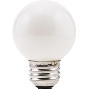 Decor G16.5 40 Watt 120 V Incandescent Bulb in Soft White (Set of 2)