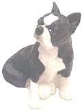 Large Boston Terrier Dog Coin Bank