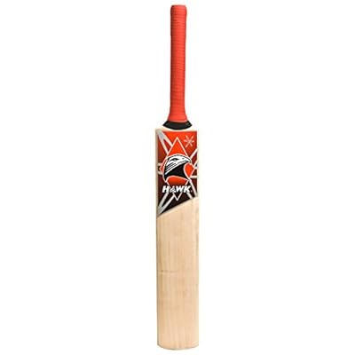 HAWK Run maker Men's Kashmir-Willow Cricket Bat Full Size Red