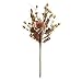 Bellini Wild Flower Bundle