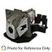 OPTOMA HD65 Projector Replacement Lamp with Housing