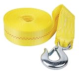 Fulton Winch Accessories Winch Strap with Heavy Duty Hook, 2-Feet x 20-Feet