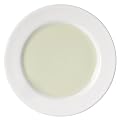 Swatch Dinner Plate Set of 4 - Lime