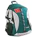 Dale Earnhardt Jr NASCAR Backpack