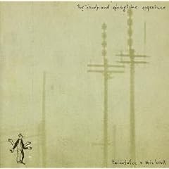 The Candy and Springtime Experience (Split-CD)