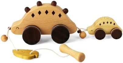 Soopsori Pulling Stego