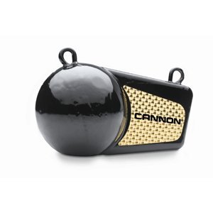 Cannon 10 pound Flash weight
