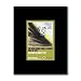 J MASCIS AND THE FOG Free So Free 254x202mm Matted Music Print/Mini Poster - Bla von J. Mascis - alle Infos