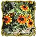 Red Sport (Rudbeckia triloba variation) Jumbo Wildflower Seed Packet (500)